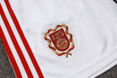 Conjunto Bayern München Treino Camisa Regata + short 25/26 - Masculino adidas - Branco