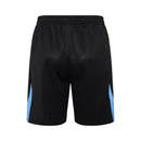 Conjunto Manchester City Treino Camisa manga curta + short 24/25 - Masculino Puma - Cinza e preto