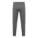 Milan 24/25 Set - Men's Puma - Grey (Player)