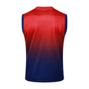 Paris Saint-Germain Training Set Tank Top Shirt + Shorts 24/25 - Men's Jordan - Red and Blue