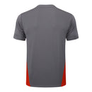 Conjunto Milan Treino Camisa manga curta + short 24/25 - Masculino Puma - Cinza