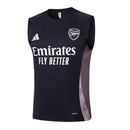 Conjunto Arsenal Treino Camisa Regata + short 24/25 - Masculino Adidas - cinza escuro