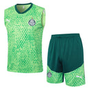 Conjunto Palmeiras Treino 24/25 - Masculino Puma - verde