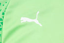 Palmeiras Training Set 24/25 - Men's Puma - Green