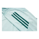 Conjunto Cruzeiro Treino 25/26 - Masculino Adidas - Verde