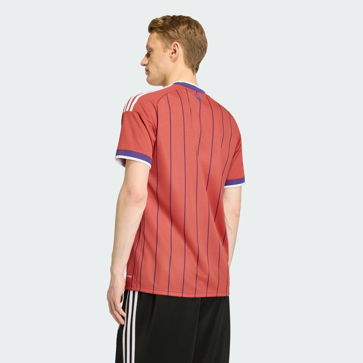 Escocia 2026 Visitante - Aficionado