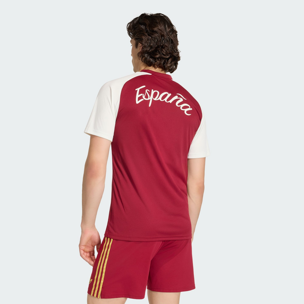 España 2026 Previa - Aficionado