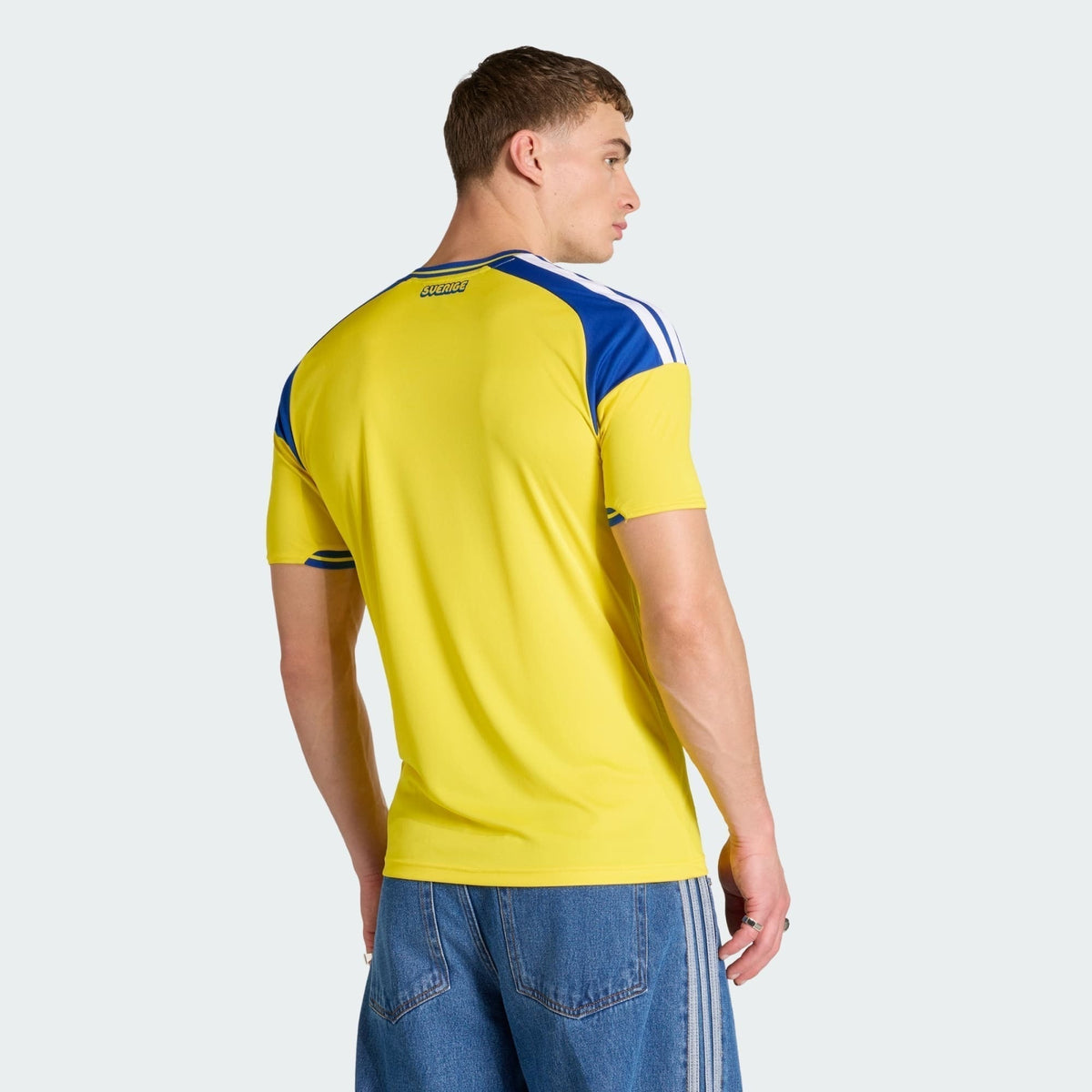 Suecia 2026 Local - Aficionado