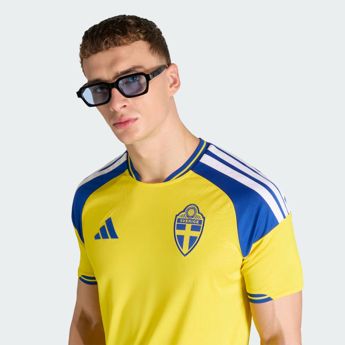 Suecia 2026 Local - Aficionado