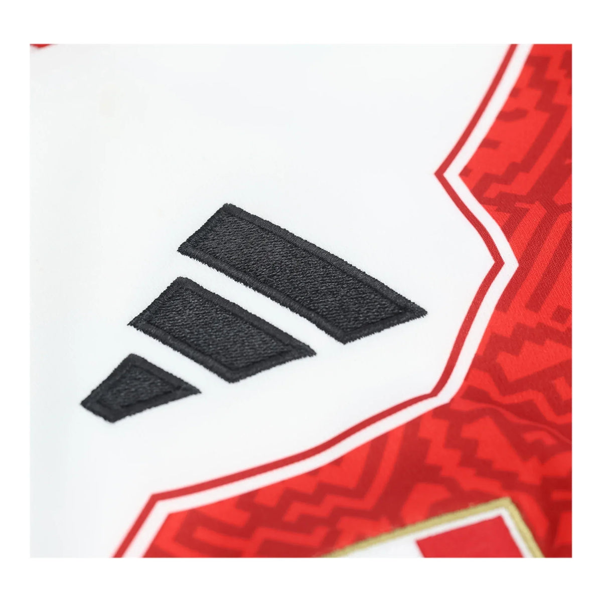 Peru 2026 Home - Fan